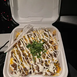 Asada Fries