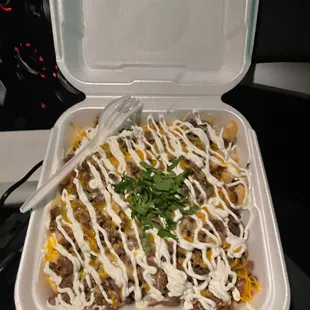 Asada Fries