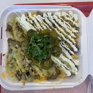 Carne Asada Fries