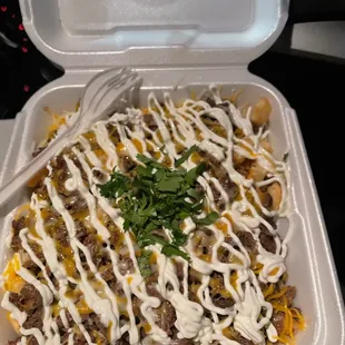 Asada Fries