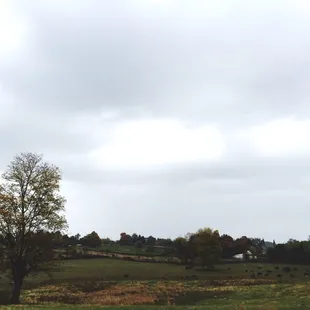 outside