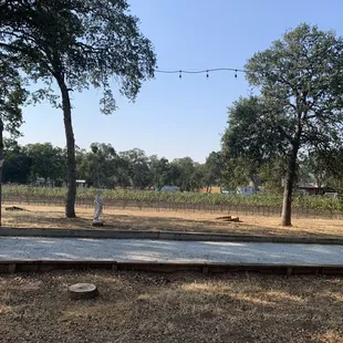 a concrete slab in the foreground