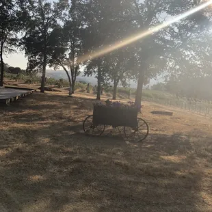 a horse drawn carriage