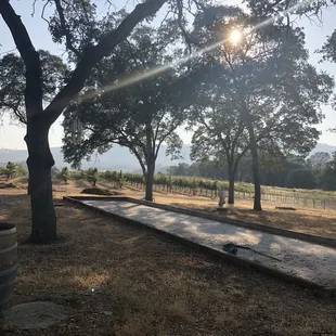 the sun shining through the trees