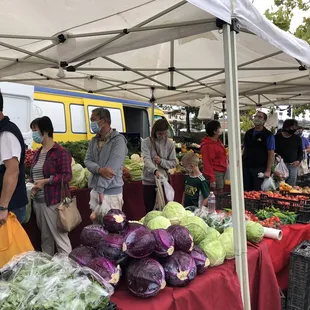  variety of vegetables