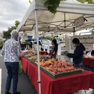  man and a woman at a fruit stand