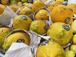 Super Mercado MI Tierra