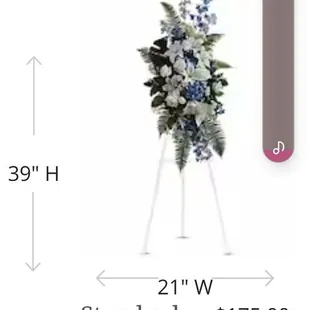 Ocean Breeze Spray small: 39&quot; h x 24&quot; w, $150.00 shown. This is the size/price requested.