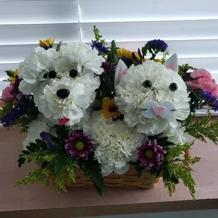 Furry little friends