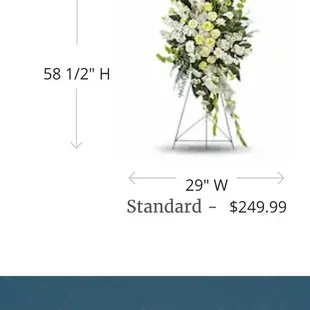 Large Magnificant Life Spray:$150.00 (my budget). Standard: 58&quot; x 29,&quot; shown $250 Smallest: 38&quot; x 24&quot; $150 budget.