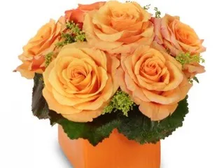 Black Tie Roses