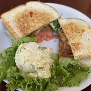 Schnitzel Sandwich parked with potato salad