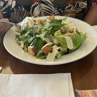 Small Caesar salad.  The large one must be HUGE!