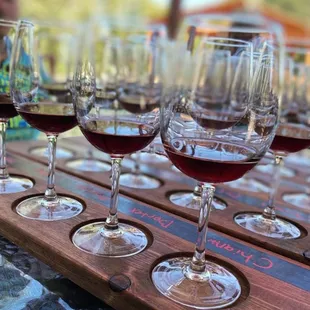 Flights &amp; flights of reds