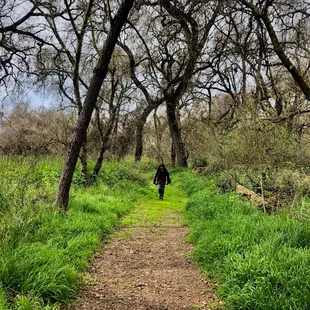 Majestic Oaks Trail