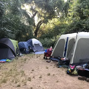 Greenery could use a trimming...