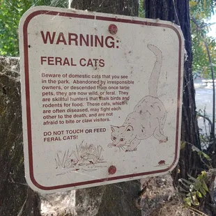Feral cat warning