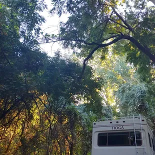 Great shade throughout the day spot #49