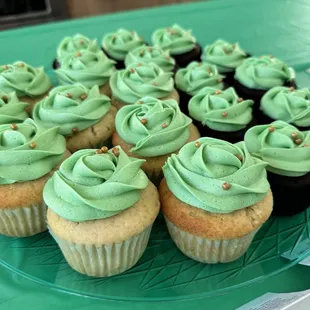 Vanilla and chocolate cupcakes for St. Patrick's Day