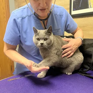 Arthur with his new doctor