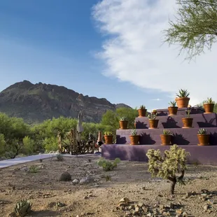 Succulent pyramid modeled after the one in the courtyard of Frida Kahlo's childhood home, La Casa Azul