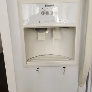 rust running down the refrigerator - not new damage