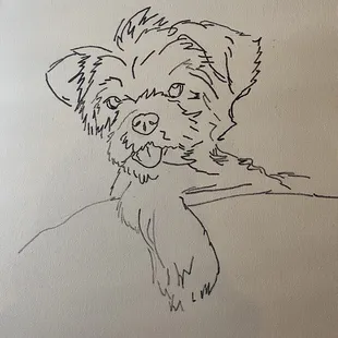 My dog outline