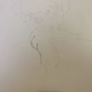 My rough sketch before I started painting my dog.