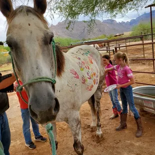 Finger painting at horse camp