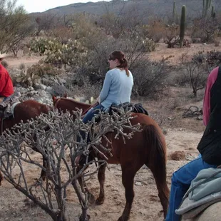 Experience the Sonoran Desert horseback