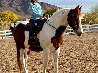 Lucky Charm Riding Center