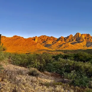 Catalina State Park May 27, 2023