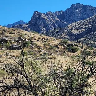Mountains looking south east.