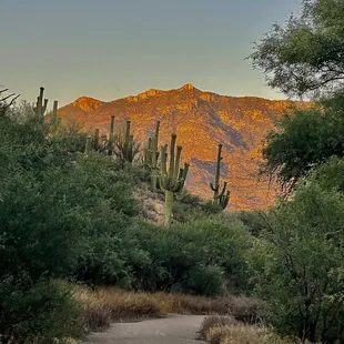 Bridle Trail, Catalina State Park, Tucson, AZ - May27, 2023