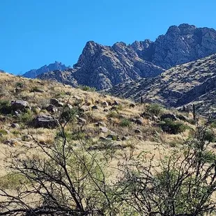 The view south east from the trail.