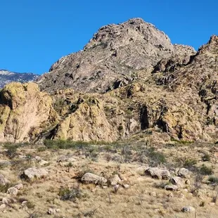 View on the back side of the trail.
