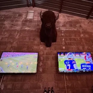 Always a good spot for Sunday football