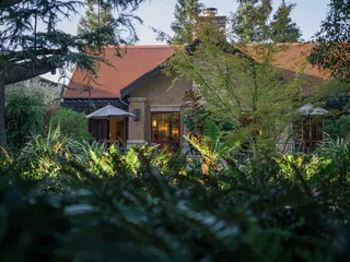 Harney Lane Vineyards