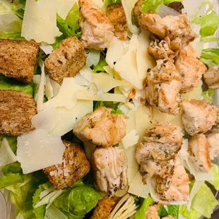 Chicken Caesar Salad