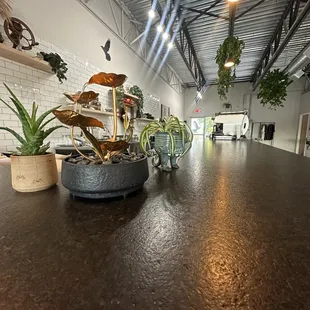 interior