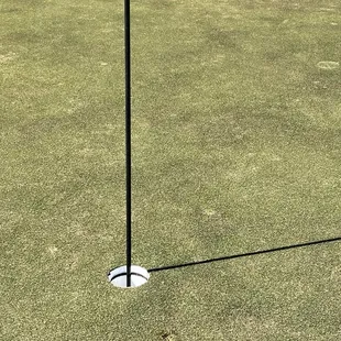 #7, 164 yard Par 3, nearly carded an Ace as my ball made that front pitch mark