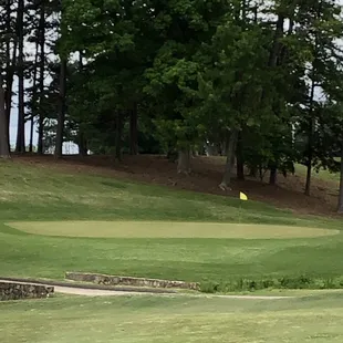 Greens are coming in nicely!