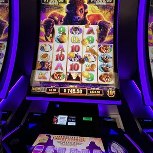 Buffalo Chief Win only put in $100 on dime denomination!