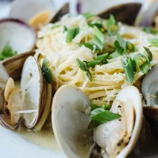 White Clam Linguine