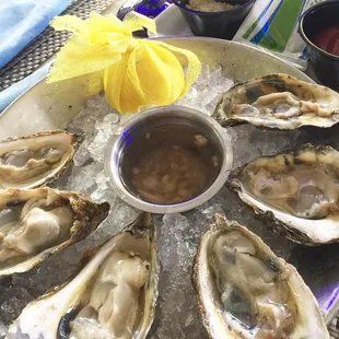 Raw Oysters