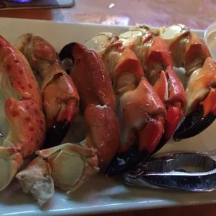 Stone Crabs