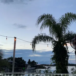 The view