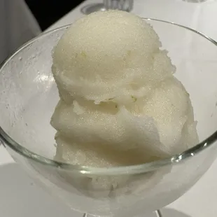 Sorbet Della Giornata