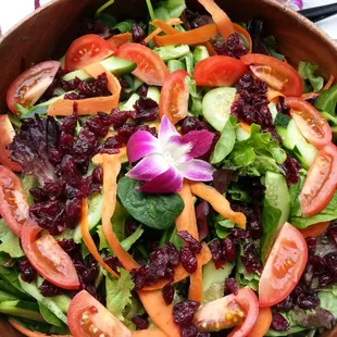 Mixed Greens with cranberries &amp; tomatoes
