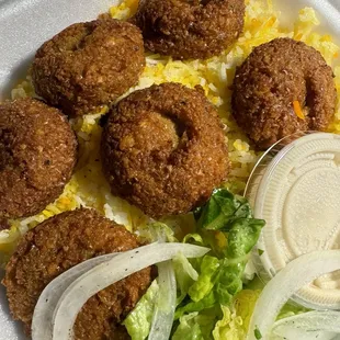 Falafel Platter